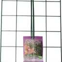 Luster Leaf (970) 24 x 18 Rectangle Grow Through Grid w/ 30 legs