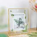 Gold Floating Picture Frame Set of 2, 10"x12" Glass Pressed Flower Picture Frames, Tabletop Standing Glass Floating Frame for 8x10 Photo Display