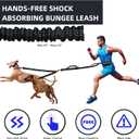 Uppetly Hands Free Double Dog Leash with Pouch, Dual Leash for 2 Dogs with Reflective Padded Handles, Durable Bungee and Lumbar Waist Belt for Walking, Jogging and Running (Medium/Large, 25-120 lbs)