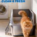 Powools Stainless Steel Cat Litter Box, Metal Litter Box with Scoop, High- Sided, Anti-Leakage Top Entry, Non-Sticky, Easy to Clean, Grey, XL (1 Pack)