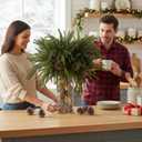 Syhood 12 Pcs 20 Inch Large Christmas Norfolk Pine Branch with 24 Pcs Pine Cones Norfolk Stems Real Touch Artificial Christmas Greenery Stems Picks Snow Pinecone for Xmas Vase DIY Craft Decor