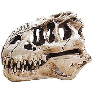 KODENG Tyrannosaur Skull T-Rex Skull Gifts Lifelike Resin Crafts Dinosaur Skull Fossil Teaching Skeleton Model Home Aquarium Decor (A)