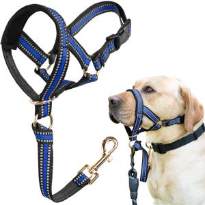 BARKLESS Muzzle Leash for Heavy Pullers, No Pull Stylish Head Halter for Large Aggressive Dogs, Gentle Dog Face Harness Stops Pet Pulling and Choking on Walks, Adjustable Head Collar (L (Snout Cir: 11"-12), Blue)