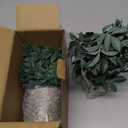 2 Pack Small Fake Plants Potted Artificial Herb Plants for Shelf Desk Home Bathroom Farmhouse Room Coffee Table Decor (Gray Green)