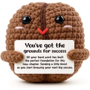 You Earned It Promotion Gift for Men Women, Well Done Keepsake for Coworker, Hard Work Pays Off Sentimental Present, Handmade Crochet Decor for Desk