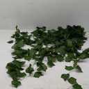 mizii 2 Strands Artificial Vines Ivy Garland 71" Fake Vine with Silk Green Leaves Faux Hanging Plants Greenery Decoration for Bedroom Home Wall Party Wedding Arch Apartment Room Decor (Ivy)