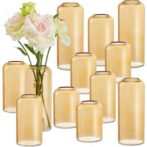 1 Pcs Glass Bud Vases Set, Small Flower Vase for Centerpieces, Small Vases for Flowers, Decor Centerpiece for Bathroom, Decorative Vases for House Warming (Amber)