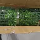 48x120 in (40 Sqft) Artificial Boxwood Grass Wall Hedge Roll