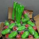 Hoolerry 24 Pack Christmas Elf Boot Cups with Lids and Straws Bulk 10 OZ Santa Elf Boot Plastic Cups for Kids Novelty Party Supplies Winter Holiday Xmas Party Favors Birthday Gift