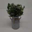 Winlyn Artificial Eucalyptus Stems in Rustic Metal Milk Can Vase Faux Plants Eucalyptus Leaves Stems with White Seeds Greenery Arrangement 13.4" Tall for Farmhouse Home Wedding Table Centerpiece Dcor