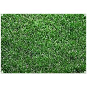 7x5ft Fabric Nature Green Grass Backdrop Spring Realistic Greenery Lawn Photography Background Home Outdoor Party Baby Shower Decorations Photo Banner Props