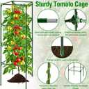 Fabulas Tomato Cage, Square Tomato Trellis Plant Support Stake Cages for Garden and Pots Tall Up to 63 Inch Adjustable Cucumber Trellis for Raised Bed Outdoor Climbing Plants Vegetables Flower, 3 Pack