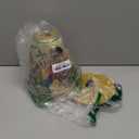 Hazel Quinn X Eduardo Recife Electric Kettle - 1200W Fast Water Boiling, 1.7L/57oz, All 304 Stainless Steel Interior, BPA-Free, Auto Shut-Off, Cordless Retro Teapot with Thermometer - Floral Patterned (Floral Painted Design)