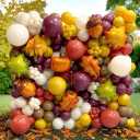 Fall Balloon Arch Garland Kit, 157pcs Retro Yellow Heliotrope Ivory White Brown Balloons with Acorn Maple Pumpkin Foil Balloons for Autumn Little Pumpkin Baby Shower Thanksgiving Hello Fall Decor