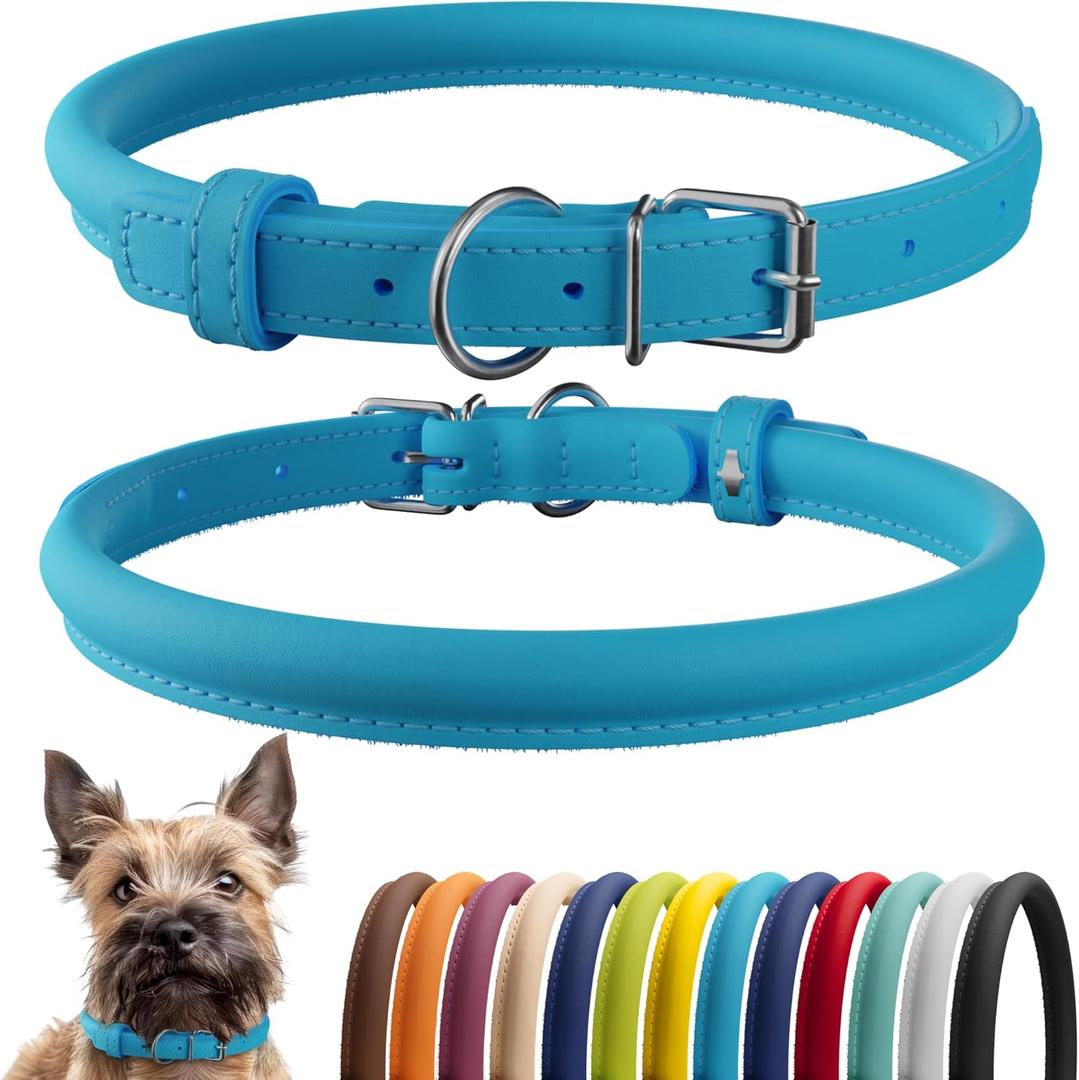 CollarDirect Rolled Leather Dog Collar, Soft Padded Round Puppy Collar, Handmade Genuine Leather Collar Dog Small Large Cat Collars 13 Colors (8-11 Inch, Light Blue Smooth) (Cyan Smooth)