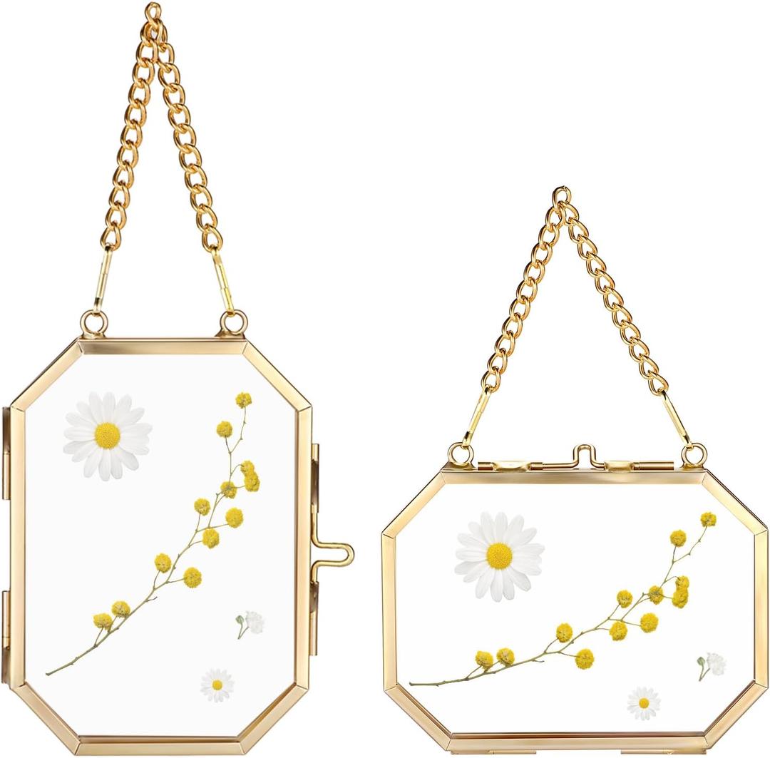 JUXYES 2 Pack Wall Hanging Brass Glass Ornament Frames, Double Glass Brass Tiny Frame for Pressed Flowers, Golden Octagon Metal Floating Frame Ornaments for Picture, Pressed Flower, Poster