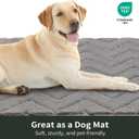 Stiio Bathroom Rugs, Bath Mats for Bathroom, Extra Soft and Water Absorbent, Non Slip Washable Muddy Mat for Floor, Tub and Shower, Front Door Entrance Inside Doormat, 24x35 Inches Grey