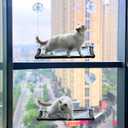 YILAG 2 Pack Cat Hammock for Window Wall with 8 Suction Cups 2 Cushion Cover,Cat Window Perch, Space Saving and Easy Mounted Large Cats Bed,Pet Resting Safety Holds (Black, Medium)