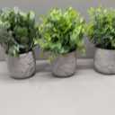 3-Pack Potted Artificial Plants, Small Eucalyptus Faux Plants for Shelf Desk Home Bathroom Farmhouse Room Coffee Table Decor (A Sage Green)