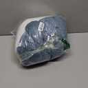 DongAi Plush Shark Toy Pillow, 31.4-inch Giant Shark Plush Animal Toy Super Soft and Cute Pillow Children’s Boys and Girls Room Decoration Bedtime Gift (80CM, Blue)