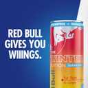 Red Bull Sugar-Free Fuji Apple and Ginger Winter Edition Energy Drink, with 80mg Caffeine plus Taurine & B Vitamins, 8.4 Fl Oz, Pack of 24 Cans