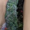 National Tree Company 60 in Pre-Lit Flocked Wintry Pine Artificial Christmas Wreath, Christmas Decoration with Pinecones, Red Berries, 300 Clear Lights, 654 Tips, Green