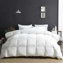 APSMILE Oversized Queen Luxury 100% Organic Cotton All Season Down Feather Fibers Comforter Fluffy Fill-Power Medium Warmth Duvet Insert (98x98, Ivory White)