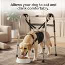 CWV Adjustable Dog Lift Harness for Large Dogs with an Adjustable Standing aid, Portable Dog Dling for Large Dogs Hind Leg Support, Soft Dog Harness for Senior, Disabled, After Surgery Dogs, Large