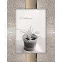 New View 5x7 inch Picture Frame- Silver / Gold