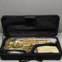 Gold E Flat Alto Saxophone Brass Engraved Eb E-Flat Natural White Shell Button Wind Instrument with Case Belt Brush