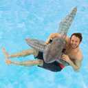 Ride-On Shark Pool Toy, 70"/39"/22",  Product Dimensions 70"L x 22"W Item Weight 1.6 pounds Age Range (Description) Kid 