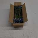 Baby's Breath Artificial Flowers Bulk 10 Pack (30pcs) Faux Baby Breath Plastic Flower Fake Gypsophila Flower Arrangement for Crafts Fake Flowers Bouquet for Wedding Centerpieces Blue Baby Breath