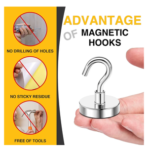 6 pcs Magnetic Hooks