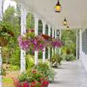 SELEWARE 20 Pcs Stainless Steel Screw Hooks, 2.6 Inch Ceiling Hooks, Heavy Duty Indoor & Outdoor Hanging Hooks for Plants, Kitchens, Cups, Lights