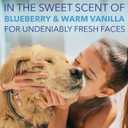 TropiClean SPA Tear Stain Remover for Dogs | Blueberry Facial Shampoo | Odor Eliminator | Tearless | Whitening and Brightening | Made in USA | 8oz.
