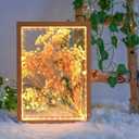 Shadow Box Frame with Lights 10'' 8 '' Memory Boxes Keepsakes Display Case Dried Flower 3D Deep Picture Frame Memorial Gifts Memorabilia Medal Wedding Travel Baby Items (Wood Color)