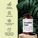 Santa Cruz Paleo Creatine Capsules, Supports Muscle Growth & Energy, Gluten Free, Keto, Sugar Free, Paleo, No Fillers or Additives, Creatine Monohydrate Pills, 2500mg, 100 Servings, 300 Capsules