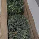 Nearly Natural 3ft. Artificial Triple Ball Boxwood Topiary Tree (Indoor/Outdoor) T2021, Green