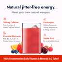 Zipfizz Daily Energy Drink Powder, Fruit Punch, 20 Pack 3-in-1 Sustained Energy, Rapid Hydration, and Essential Vitamins Sugar-Free Electrolyte Powder Contains Vitamin B-12 & Antioxidants