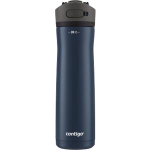 Contigo Ashland Chill 24oz Stainless Steel Water Bottle with Leakproof Lid & Straw Smart Temperature Technology Keeps Beverages Hot and Cold Ideal for Travel Work School - Silver Finish (24oz (Pack of 1), Blueberry)