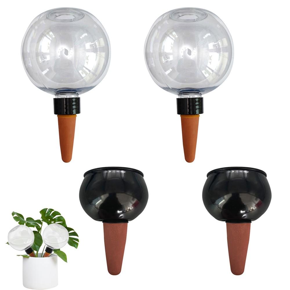 Explore Watering Globe