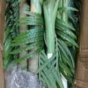 7ft Tall Triple Golden Cane Palm Artificial Tree Large Tropical Palm Tree UV Resistant Fake Plant in Pot for Indoor Outdoor Big House Living Room Outside Patio Office Home Decor 2Pack