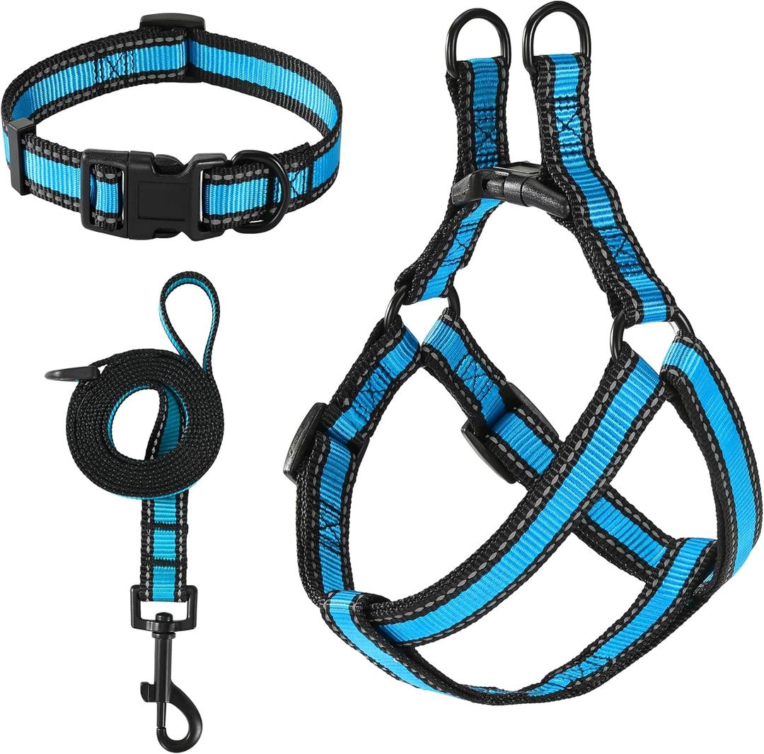 Mile High Life Night Reflective Double Adjustable Band Nylon Small Puppy Pet Dog Combo Collar Leash and Harness Set (Reflective Edge Blue, Large (Pack of 3))