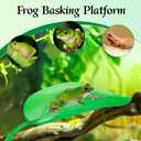 2 x Tree Frog Tank Accessories & Turtle Basking Platform 3PCS Set Leaf Decor - Reptile Habitat Decoration, Terrarium Accessories with Suction Cups for Turtles, Frogs, Geckos & Toads (Rounded Leaf)