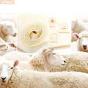 HEAWISH Womens Winter Snow Boot Fur Lined Mid Calf Warm Boots (9, Silver)