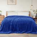 Exclusivo Mezcla Queen Size Flannel Fleece Blanket, Super Soft Striped Jacquard Bed Blanket, Lightweight Fuzzy Cozy for All Seasons, 90x90 Inches, Cobalt Blue