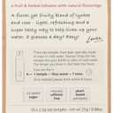 Teapigs Lychee & Rose Cold Brew Tea, 10 CT (EXP 08/06/26)