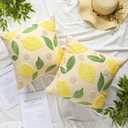HunnmingRe 2 Pcs Lemon Embroidered Pillow Covers 18 x 18 Inch Summer Fruit Jacquard Decorative Pillow Covers, Leaf and Lemon Farmhouse Soft Plush Pillowcase for Sofa Bed
