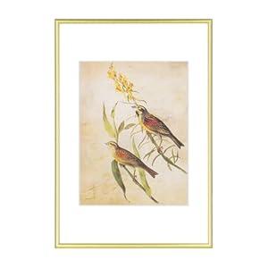 Fkvat 8x12 Picture Frame, Matte Gold Modern Thin Aluminum Metal Photo Frame with HD Glass, Fits 6x8 with Mat or 8 x 12 without Mat, for Tabletop and Wall Mounting, 1 Pack