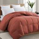 TEXARTIST Premium 2100 Series Queen Comforter All Season Breathable Terracotta Burnt Orange Comforter Soft Quilted Down Alternative Duvet Insert with Corner Tabs Luxury Hotel Style (90"x90")